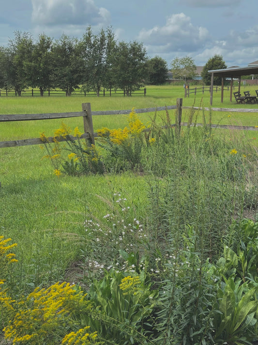 Wings, Wildflowers and Art in the Garden at The Avian Reconditioning Center