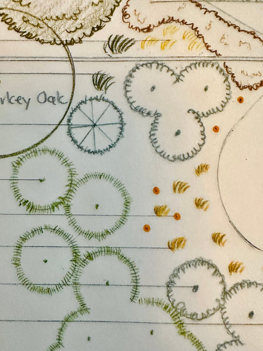 Five steps in my design process