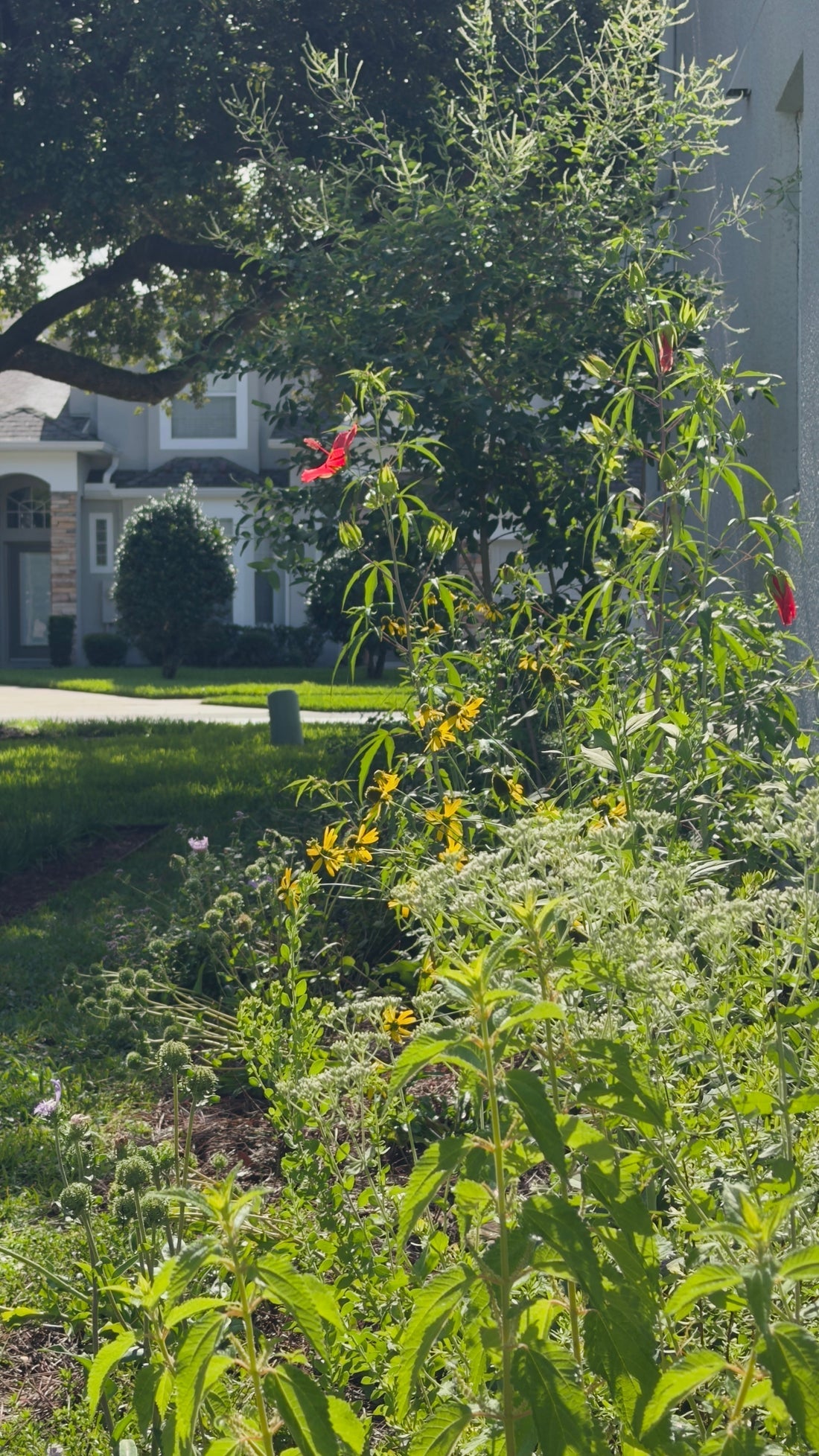 Site Visit to a Recent Installation: Growing Beauty, Habitat, and Harvest