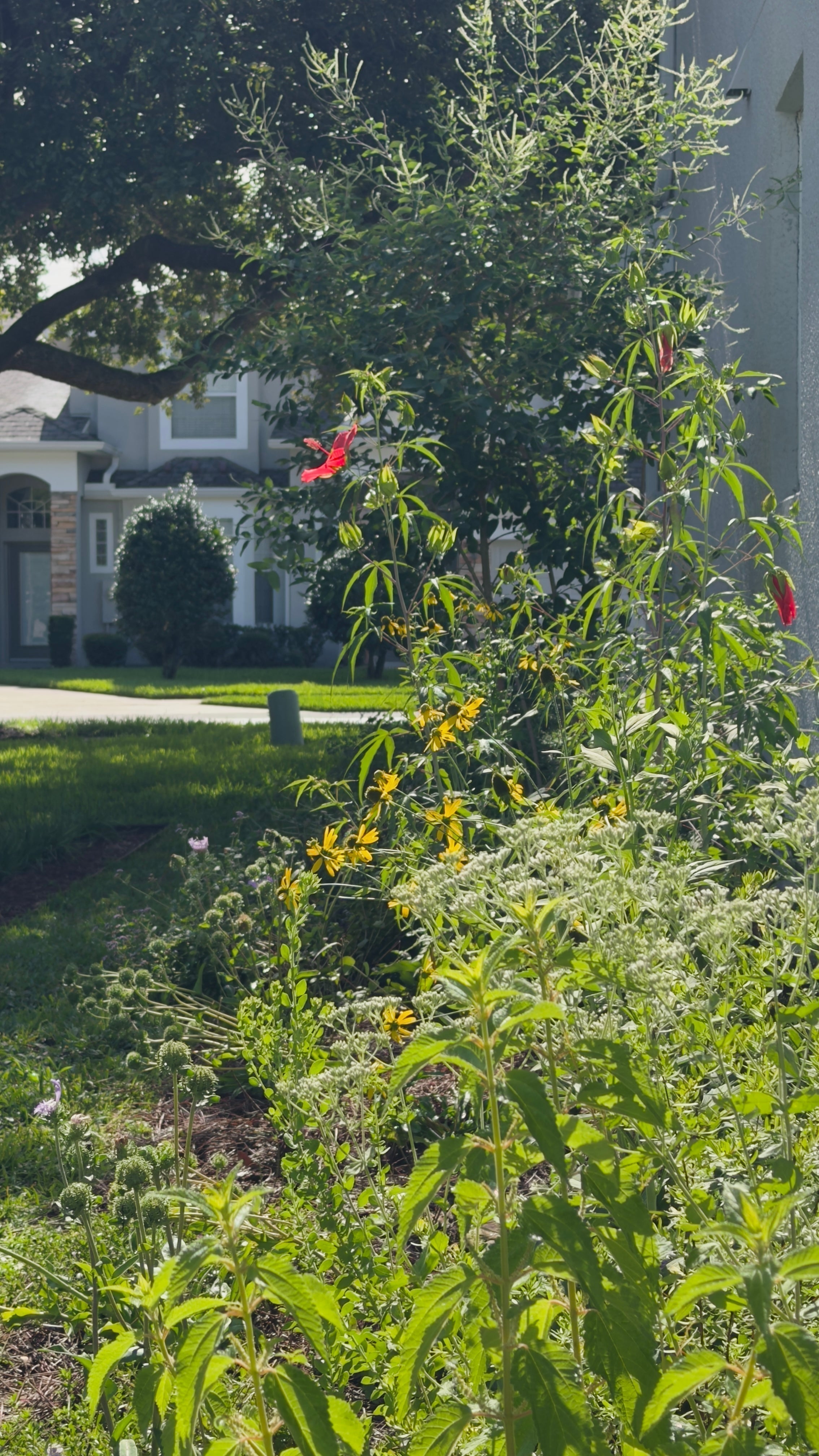 Site Visit to a Recent Installation: Growing Beauty, Habitat, and Harvest